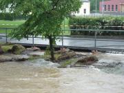 Hochwasser 2013 306